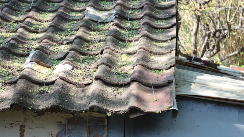 Roof leak water damage repair in Dayton, OH — IICRC-certified emergency restoration (representative photo)